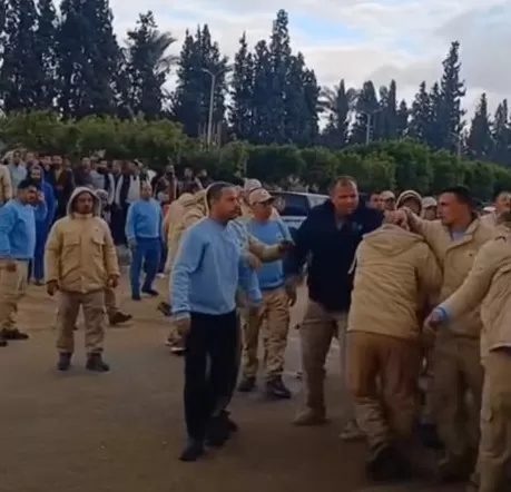 شقى عمري راح.. المطربة ليالي عمر تتهم أفراد أمن جمعية بالاعتداء عليها في العبور